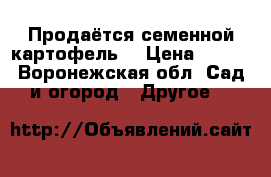 Продаётся семенной картофель  › Цена ­ 300 - Воронежская обл. Сад и огород » Другое   